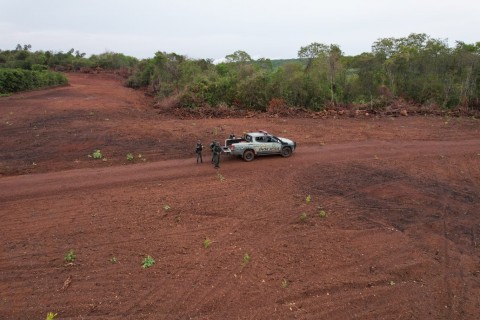 Polícia Militar aplica multa de meio milhão de reais por desmatamento em reserva legal no Bico do Papagaio